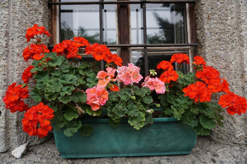 Bio-Bauernhof Rettenbachgut Werfen Ngoại thất bức ảnh